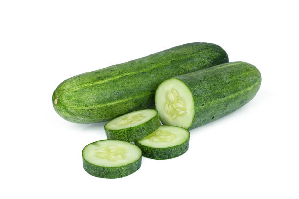 European Cucumber Green