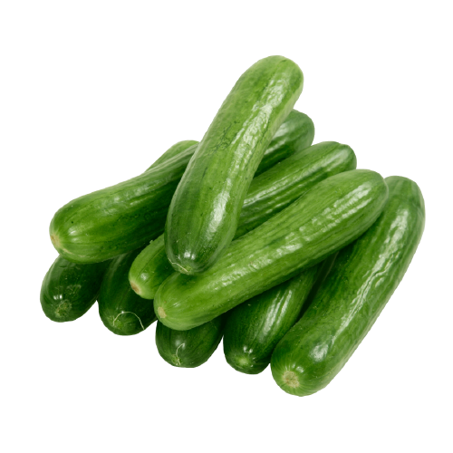 European Cucumber Green