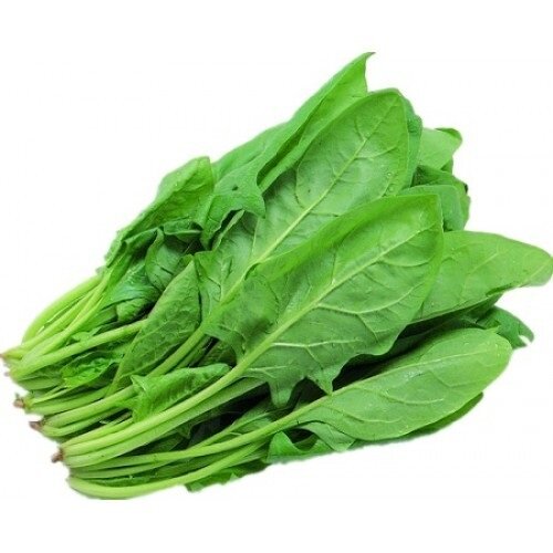 Normal Spinach